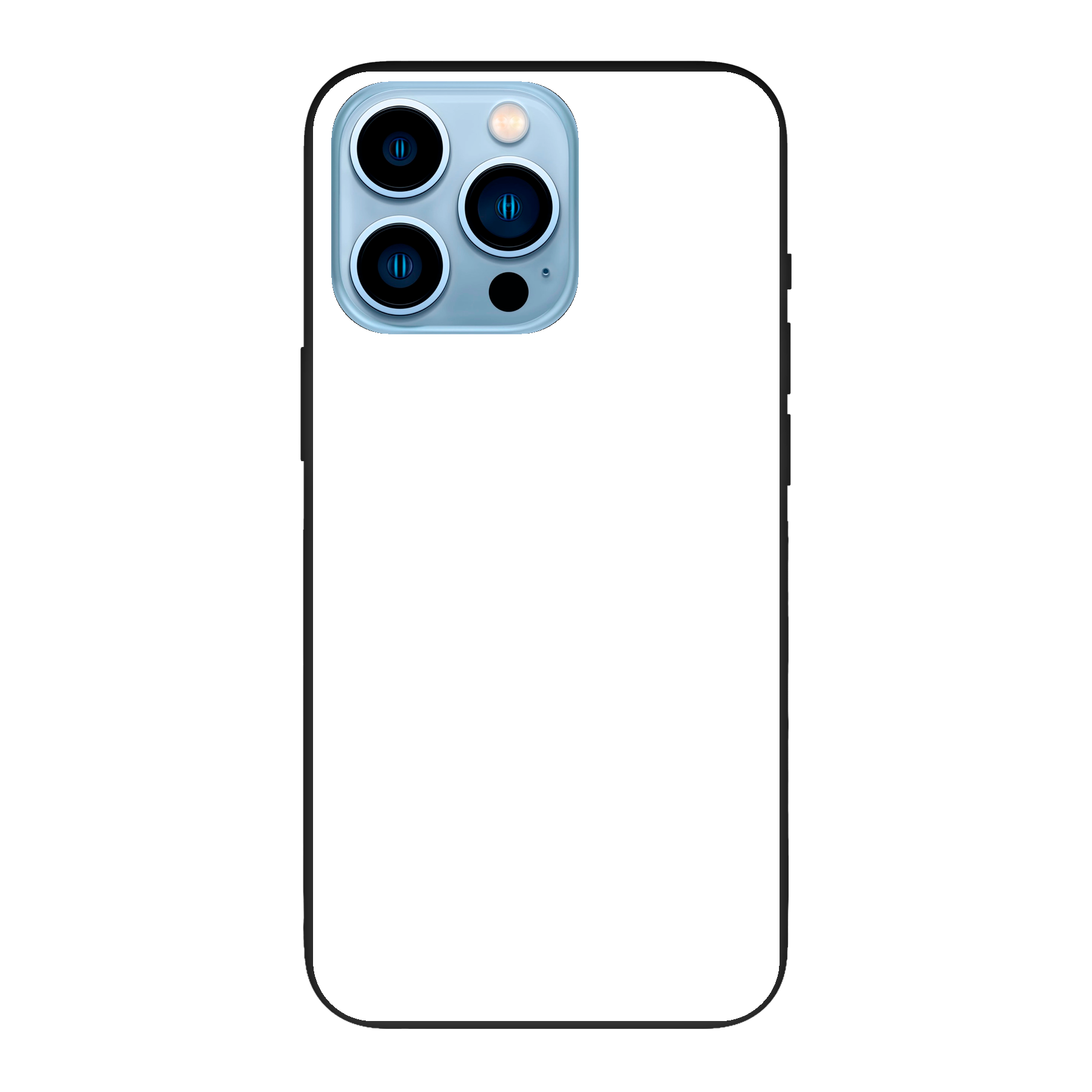 Apple iPhone 13 Pro Max Biodegradable case (back printed, black)